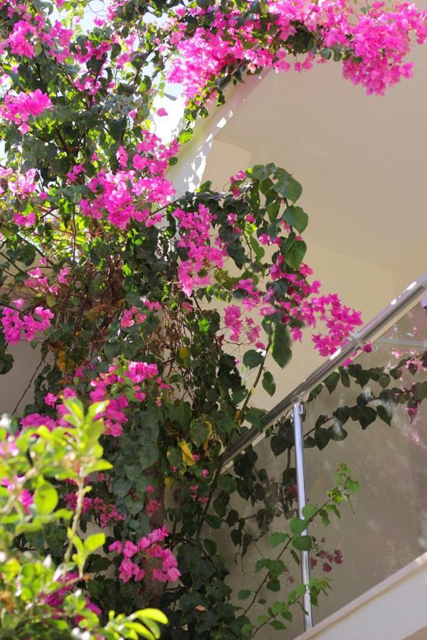 Açelya Otel Bodrum Exterior foto